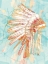 Picture of INDIAN WAR BONNET BLUE