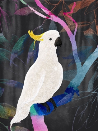 Picture of RAINBOW COCKATOO