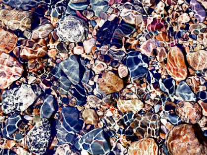 Picture of TIDE POOLS ART PRINT