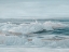 Picture of PEBBLY BEACH 