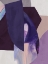 Picture of ASTRO I 