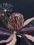 Picture of BLACKBERRY BANKSIA