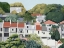 Picture of SURRY HILLS