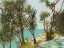 Picture of SUNSHINE COAST