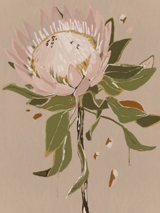 Picture of NEUTRAL PROTEA