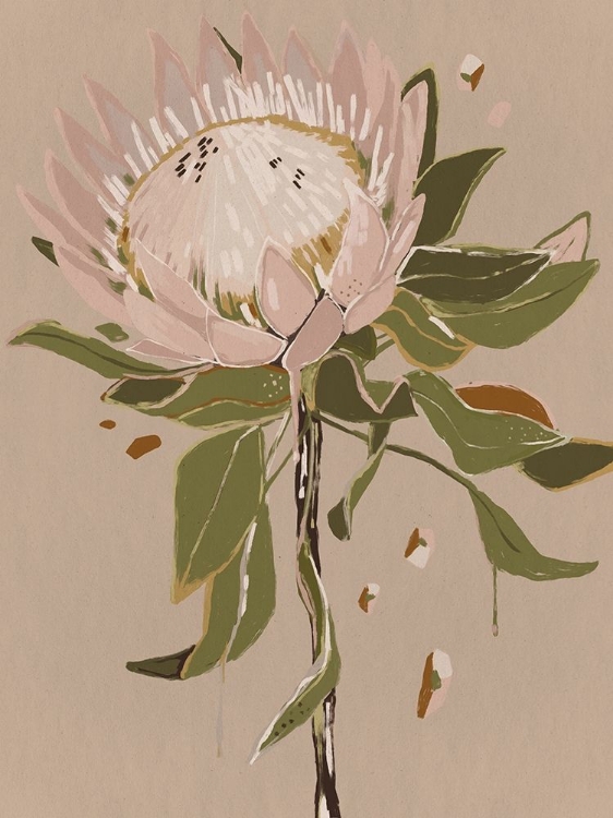Picture of NEUTRAL PROTEA