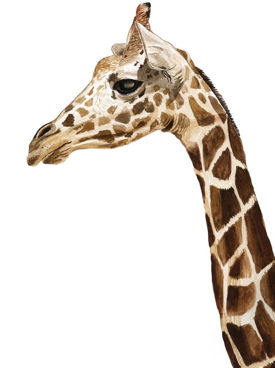 Picture of GIRAFFE