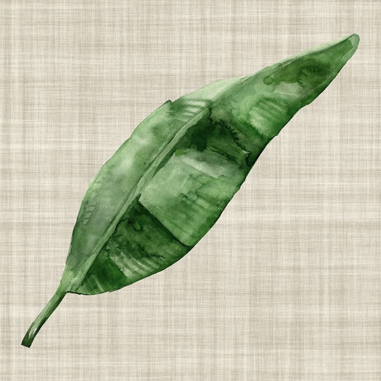 Picture of GREEN LEAF