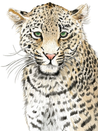 Picture of LEOPARD (NEVER CHANGES ITS SPOTS)