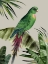 Picture of PLUME