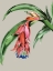 Picture of CRIMSON BLOOM