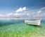 Picture of TROPICAL SHANGRILA IV