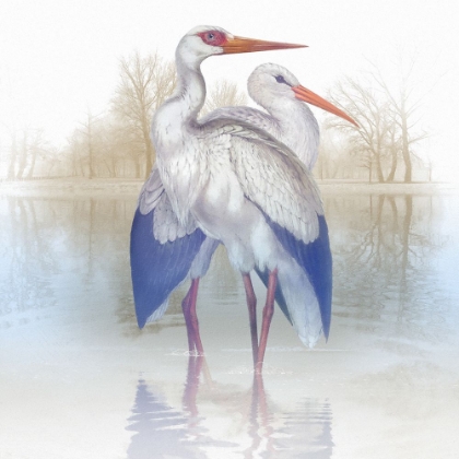 Picture of MISTY PLUMAGE III