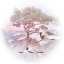 Picture of MOUNTAIN CRANE IV
