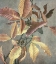 Picture of ANCIENT AUTUMN I