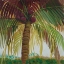 Picture of TROPICS II