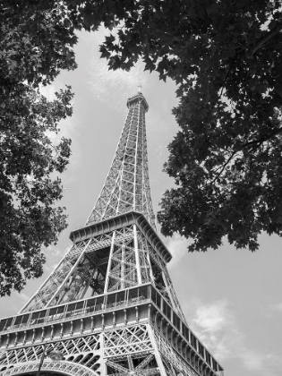 Picture of TOUR EIFFEL
