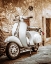 Picture of VESPA