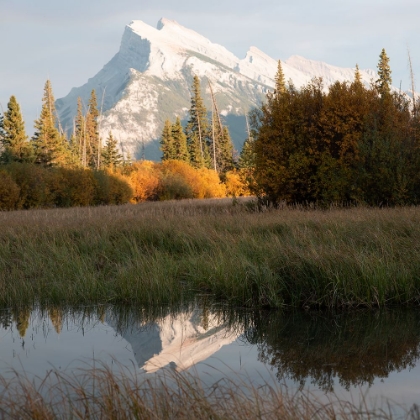 Picture of MOUNTAIN REFLECTION