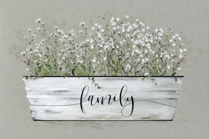 Picture of BOUQUET OF GRACE BUCKET FAMILY