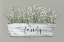 Picture of BOUQUET OF GRACE BUCKET FAMILY