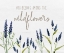 Picture of NAVY WILDFLOWERS
