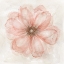Picture of PINK POSY I