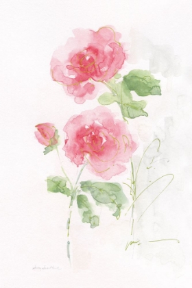 Picture of ROSE GARDEN IMPRESSION I