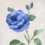 Picture of BLUE GRANDIFLORA I