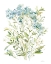 Picture of GARDEN LACE II