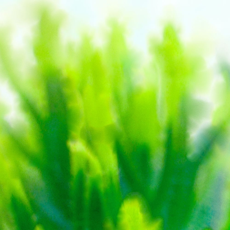 Picture of GREEN FLORA 1