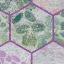 Picture of HEXIFLORA: IMPRINT 5