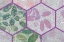 Picture of HEXIFLORA: IMPRINT 9