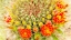 Picture of GOLD TYPE: BARREL CACTUS 3