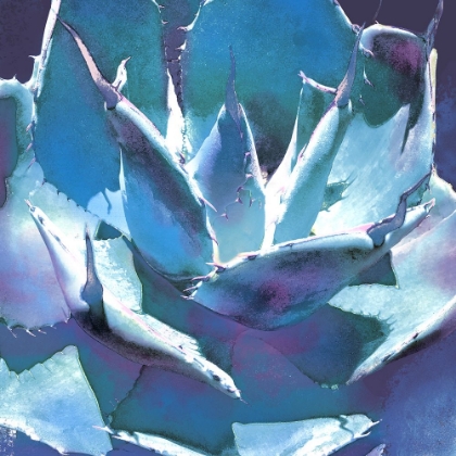 Picture of COLOR MOODS: CACTUS 6