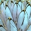 Picture of COLOR MOODS: CACTUS 7A GOLD TYPE