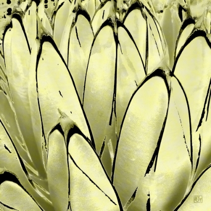 Picture of COLOR MOODS: CACTUS 7E GOLD TYPE