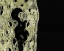 Picture of GOLD TYPE: CHOLLA BONES 2