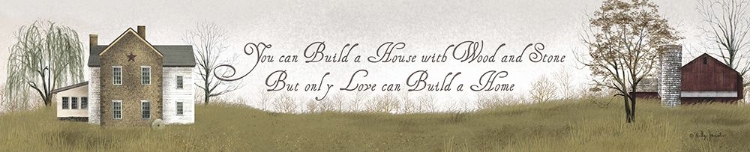 Picture of YOU CAN BUILD A HOUSE