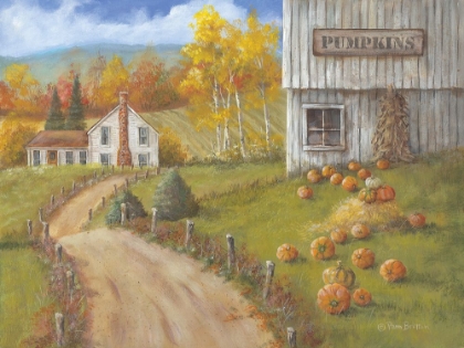 Picture of HARVEST PUMPKIN FARM