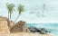 Picture of WILD AND FREE JUST LIKE THE SEA