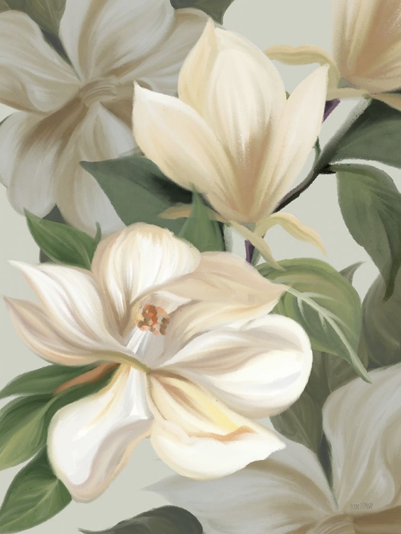 Picture of MAGNOLIA BLOSSOMS I