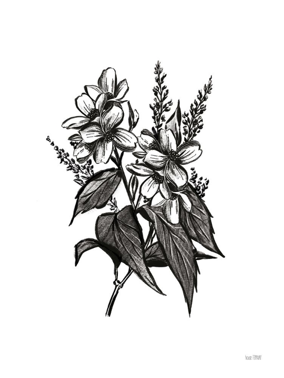Picture of PEN AND INK WILDFLOWER I