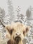 Picture of HAIRY HIGHLAND IN THE FIELD