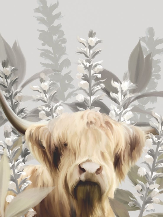 Picture of HAIRY HIGHLAND IN THE FIELD