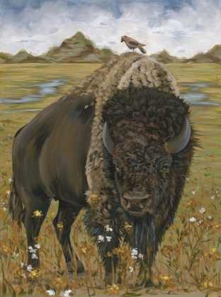 Picture of BISON   