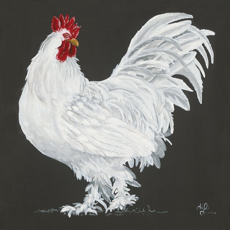 Picture of ROOSTER   