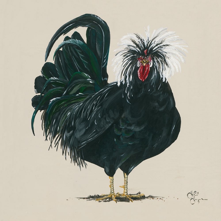 Picture of CHICKEN    