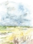 Picture of WHEAT FIELD