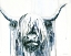 Picture of RAIN DROPS KEEP FALLING